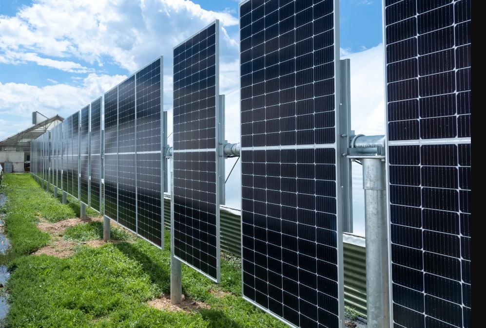 Which Is Better Monocrystalline Or Polycrystalline